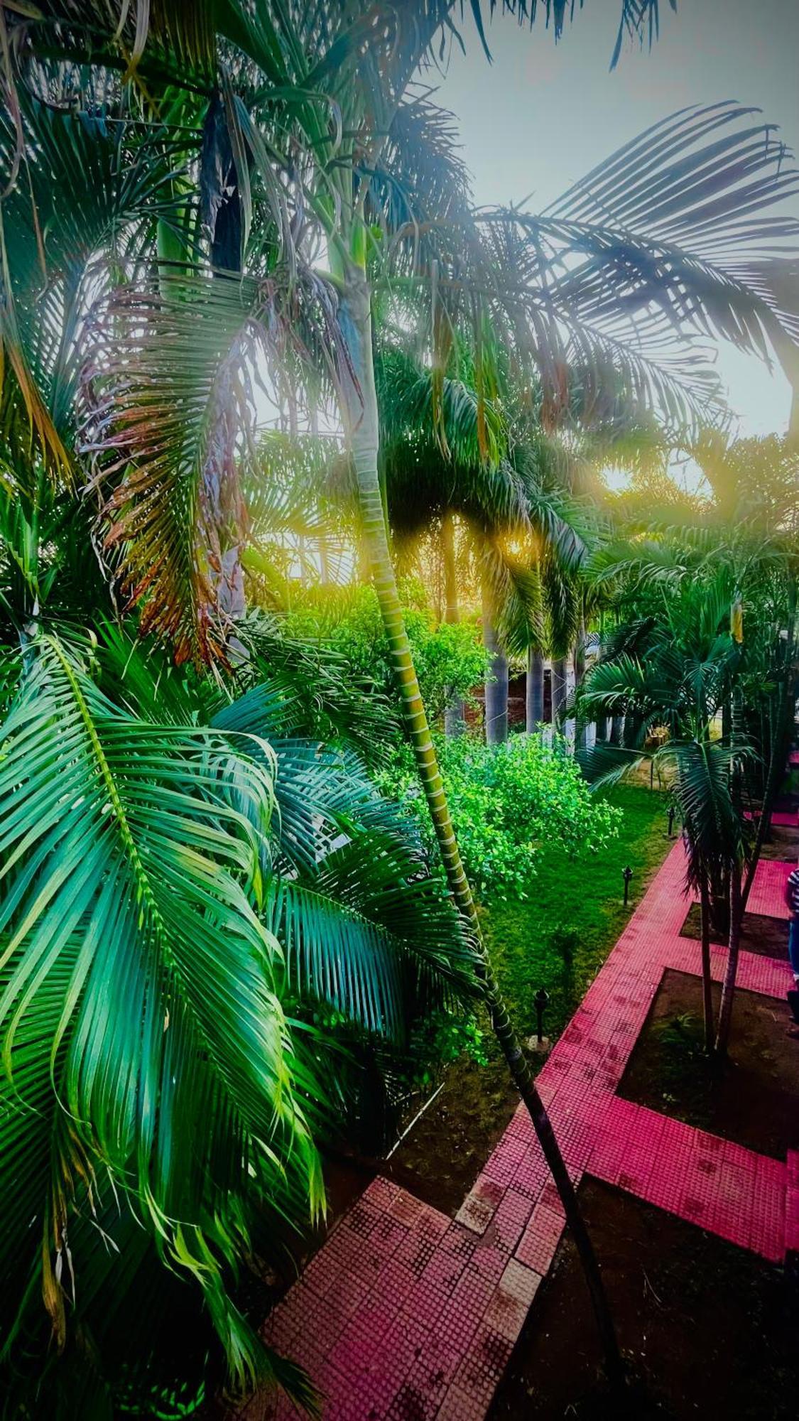 Hotel Jungle Palace Resort Umariā Buitenkant foto