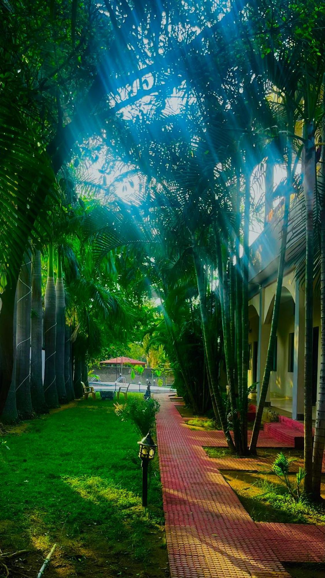 Hotel Jungle Palace Resort Umariā Buitenkant foto
